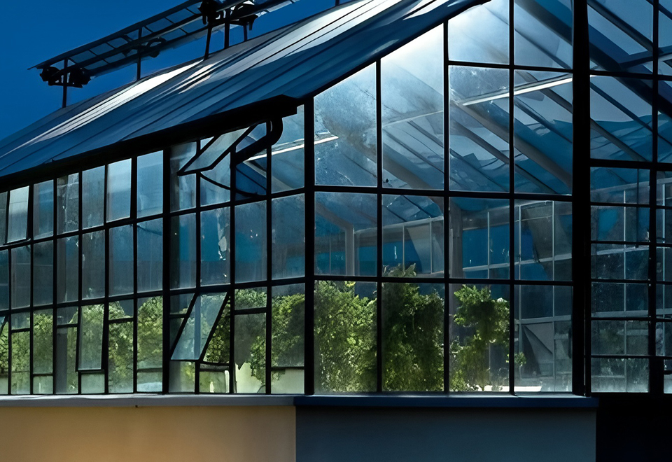Plant Lighting
