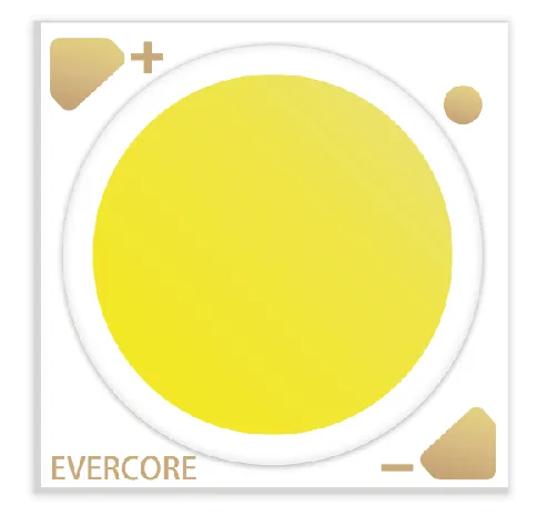 Evercore Constant Voltage Cob Tema especial