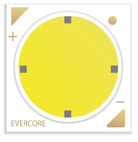 Evercore Constant Voltage Cob Tema especial