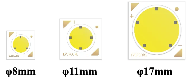 Evercore Constant Voltage Cob Tema especial